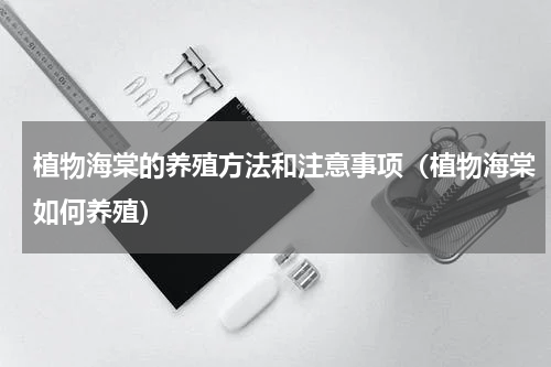 植物海棠的养殖方法和注意事项（植物海棠如何养殖）