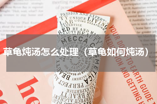 草龟炖汤怎么处理（草龟如何炖汤）