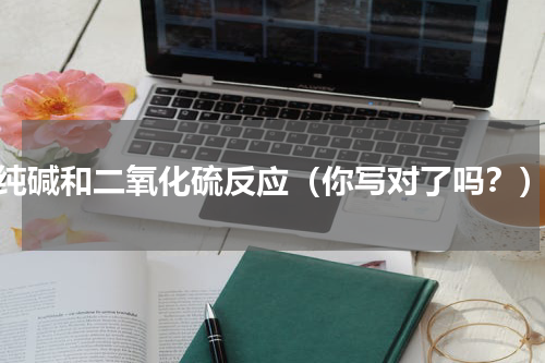 纯碱和二氧化硫反应（你写对了吗？）