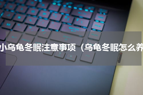 养小乌龟冬眠注意事项（乌龟冬眠怎么养）