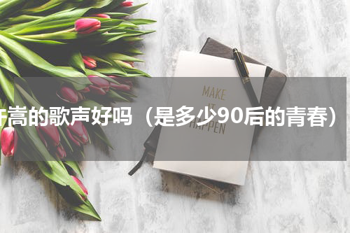许嵩的歌声好吗（是多少90后的青春）