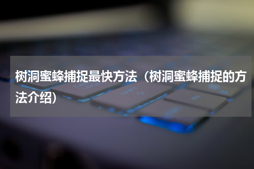 树洞蜜蜂捕捉最快方法（树洞蜜蜂捕捉的方法介绍）