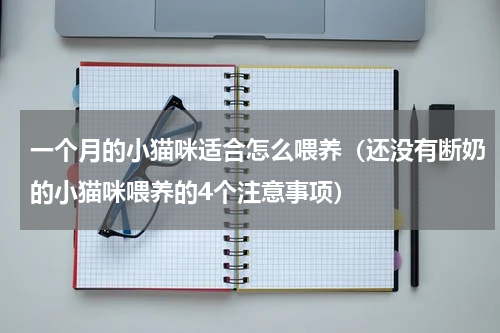 一个月的小猫咪适合怎么喂养（还没有断奶的小猫咪喂养的4个注意事项）