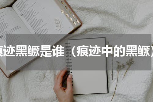 痕迹黑鳜是谁（痕迹中的黑鳜）