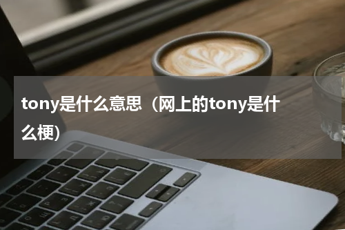 tony是什么意思（网上的tony是什么梗）