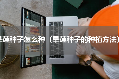 旱莲种子怎么种（旱莲种子的种植方法）