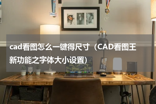 cad看图怎么一键得尺寸（CAD看图王新功能之字体大小设置）