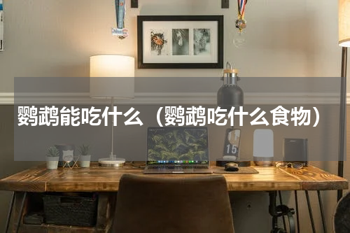 鹦鹉能吃什么（鹦鹉吃什么食物）