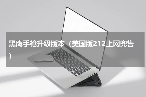 黑鹰手枪升级版本（美国版212上网兜售）