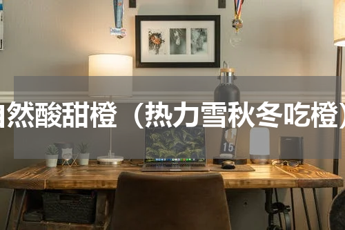 自然酸甜橙（热力雪秋冬吃橙）