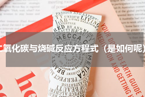 二氧化碳与烧碱反应方程式（是如何呢）