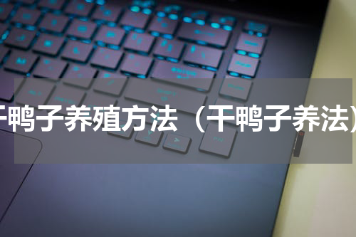 干鸭子养殖方法（干鸭子养法）