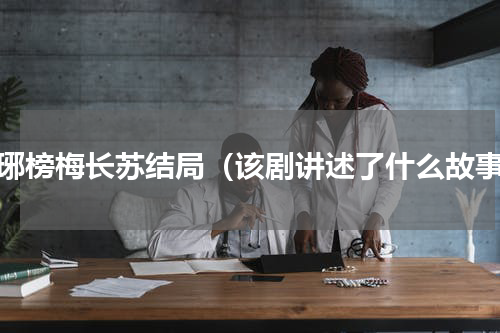 琅琊榜梅长苏结局（该剧讲述了什么故事）