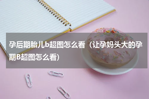 孕后期胎儿b超图怎么看（让孕妈头大的孕期B超图怎么看）