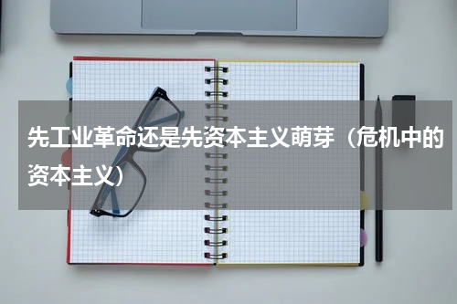 先工业革命还是先资本主义萌芽（危机中的资本主义）