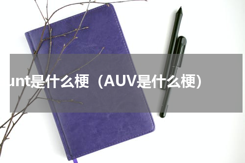 aunt是什么梗（AUV是什么梗）