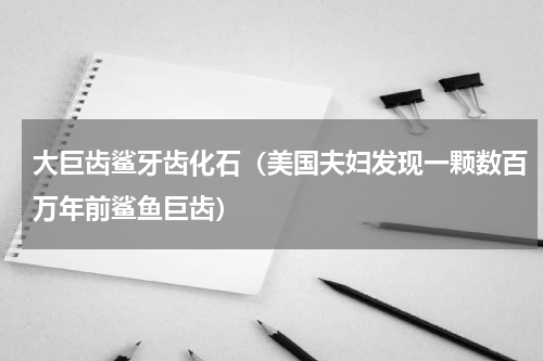 大巨齿鲨牙齿化石（美国夫妇发现一颗数百万年前鲨鱼巨齿）