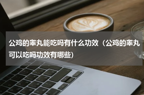 公鸡的睾丸能吃吗有什么功效（公鸡的睾丸可以吃吗功效有哪些）