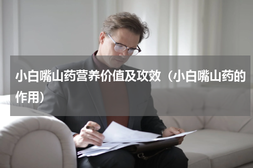 小白嘴山药营养价值及攻效（小白嘴山药的作用）