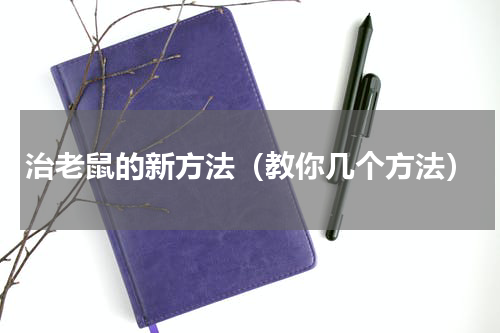治老鼠的新方法（教你几个方法）