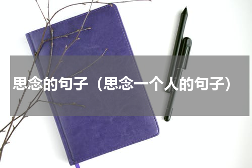 思念的句子（思念一个人的句子）