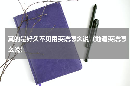 真的是好久不见用英语怎么说（地道英语怎么说）