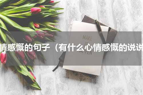 心情感慨的句子（有什么心情感慨的说说）