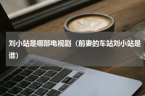 刘小站是哪部电视剧（前妻的车站刘小站是谁）
