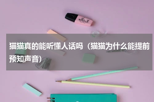 猫猫真的能听懂人话吗（猫猫为什么能提前预知声音）