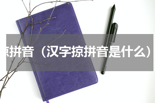 掠拼音（汉字掠拼音是什么）