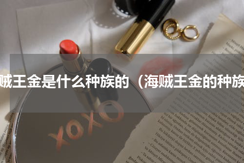 海贼王金是什么种族的（海贼王金的种族）