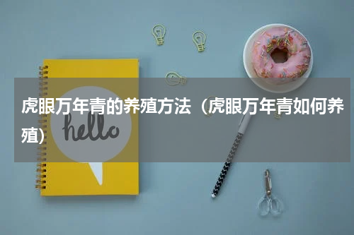 虎眼万年青的养殖方法（虎眼万年青如何养殖）