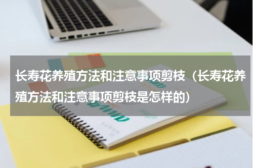 长寿花养殖方法和注意事项剪枝（长寿花养殖方法和注意事项剪枝是怎样的）