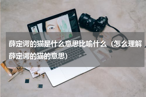 薛定谔的猫是什么意思比喻什么（怎么理解薛定谔的猫的意思）