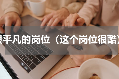 很平凡的岗位（这个岗位很酷）