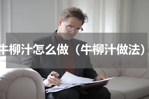 牛柳汁怎么做（牛柳汁做法）