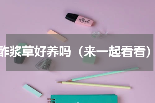 酢浆草好养吗（来一起看看）