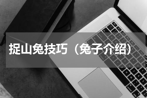 捉山兔技巧（兔子介绍）
