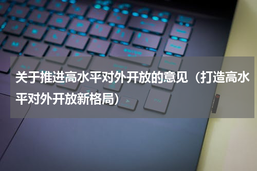 关于推进高水平对外开放的意见（打造高水平对外开放新格局）