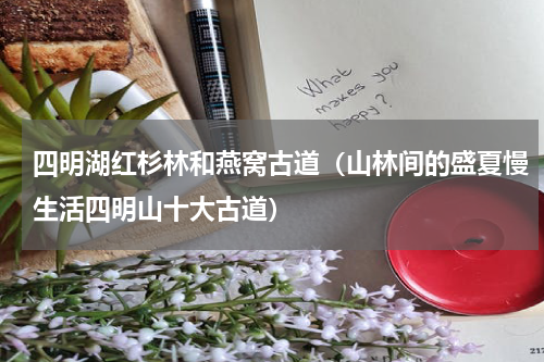 四明湖红杉林和燕窝古道（山林间的盛夏慢生活四明山十大古道）