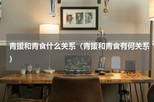青援和青食什么关系（青援和青食有何关系）