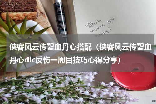 侠客风云传碧血丹心搭配（侠客风云传碧血丹心dlc反伤一周目技巧心得分享）