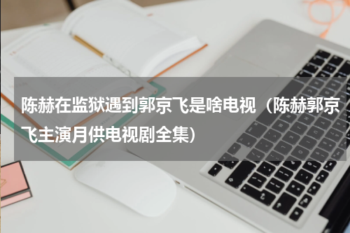 陈赫在监狱遇到郭京飞是啥电视（陈赫郭京飞主演月供电视剧全集）
