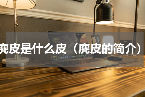 麂皮是什么皮（麂皮的简介）