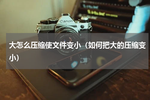 大怎么压缩使文件变小（如何把大的压缩变小）