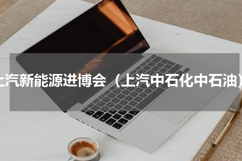 上汽新能源进博会（上汽中石化中石油）