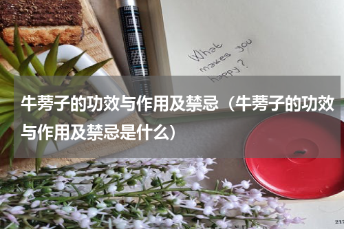 牛蒡子的功效与作用及禁忌（牛蒡子的功效与作用及禁忌是什么）