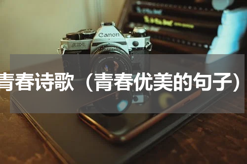 青春诗歌（青春优美的句子）