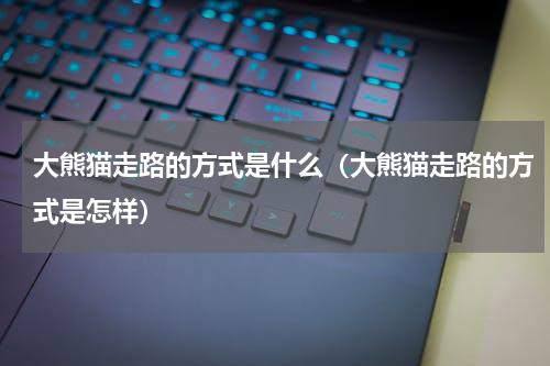 大熊猫走路的方式是什么（大熊猫走路的方式是怎样）