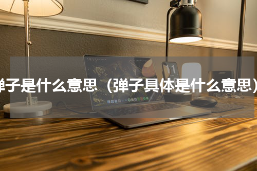 弹子是什么意思（弹子具体是什么意思）